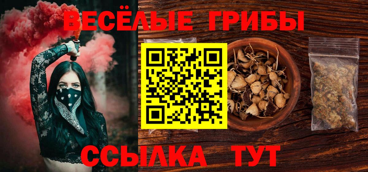 Лангепас  Псилоцибиновые грибы Psilocybe  закладки  Вход с VPN 