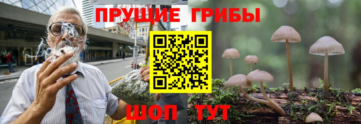 Псилоцибиновые грибы GOLDEN TEACHER Лангепас